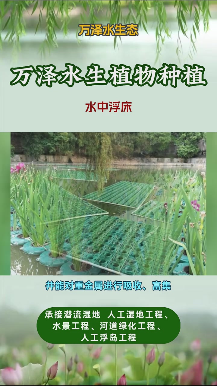 水上植物浮床