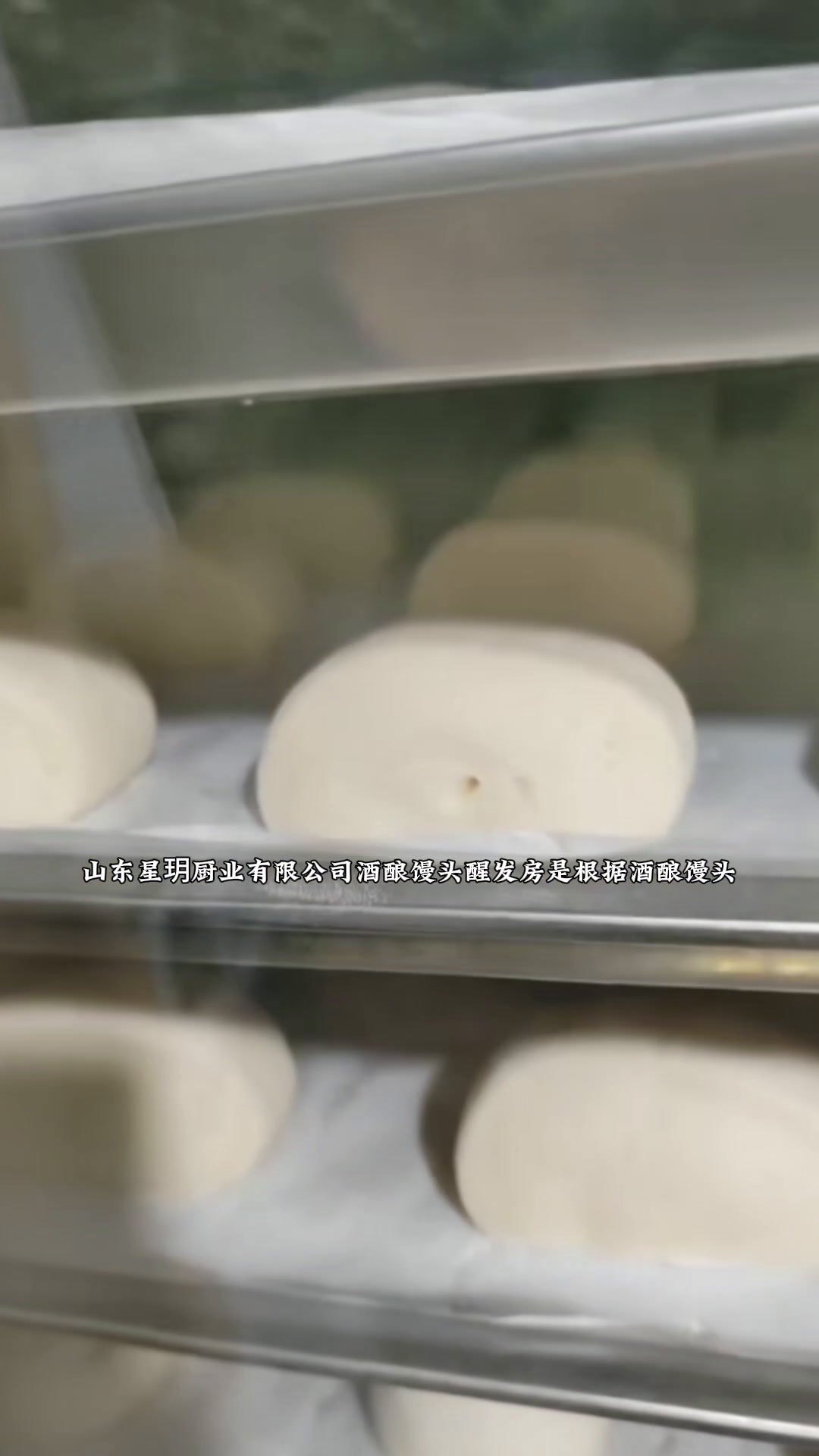 发酵箱商用烘焙面包卡通包酒酿馒头米酒酸奶蒸笼全自动智能醒发箱