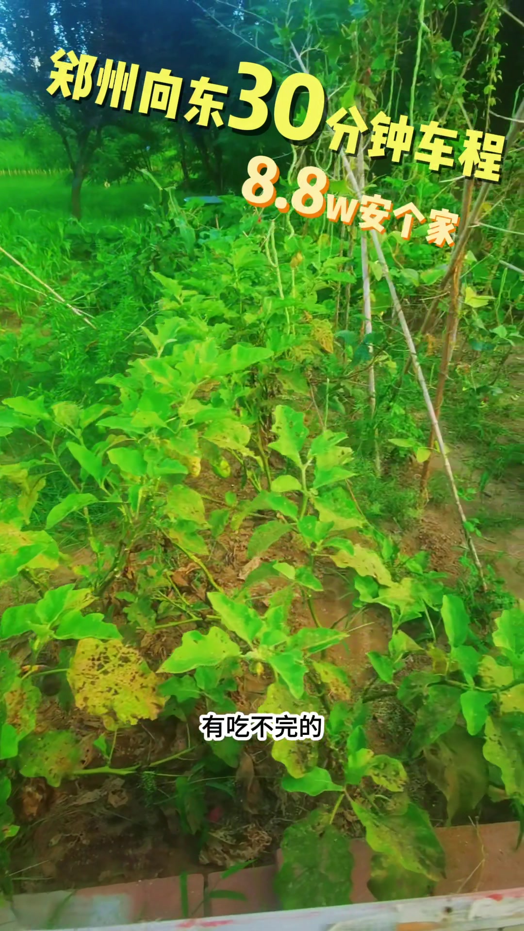 郑州小院,湖景温泉