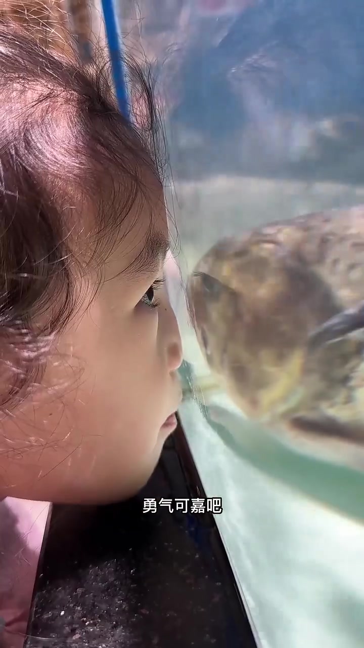无知者无畏!杭州三岁女孩和鱼进行不眨眼比赛