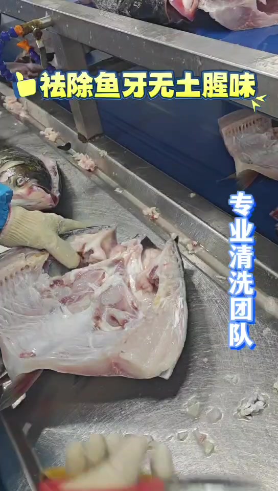 鱼头工厂流水线实拍