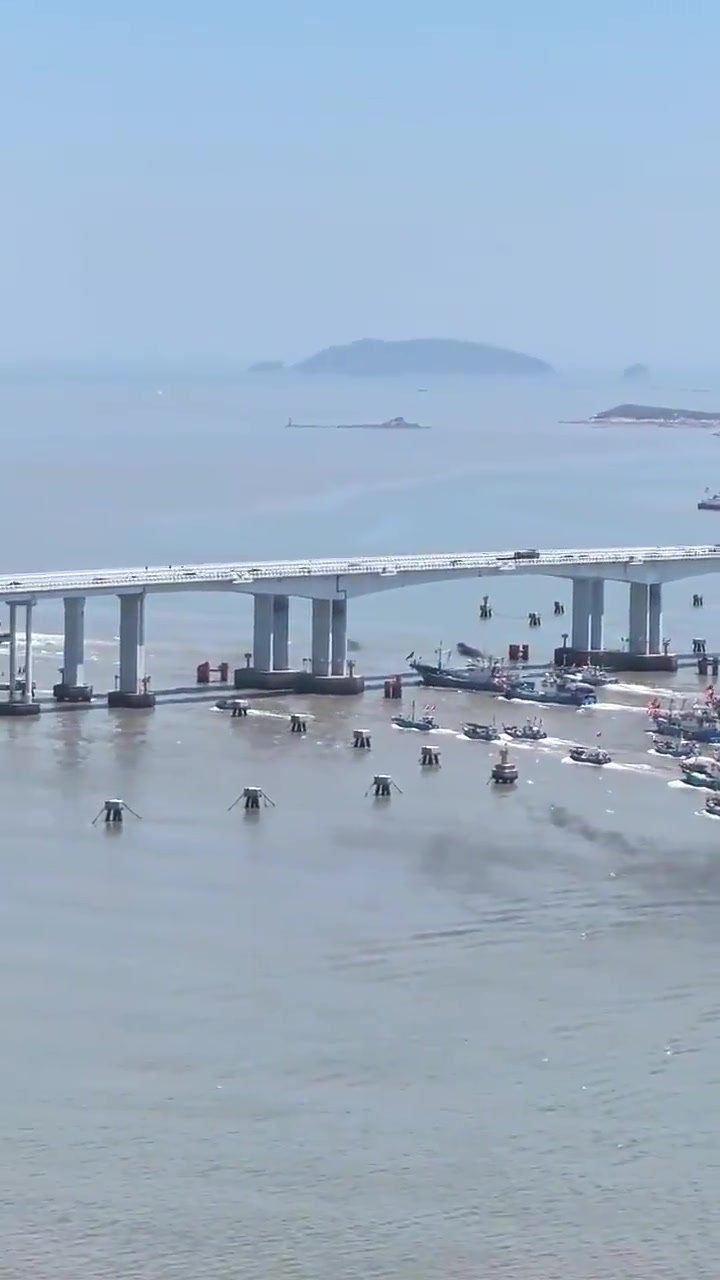 直击!8月1日12时起,舟山2600余艘专项特许捕捞渔船奔赴渔场