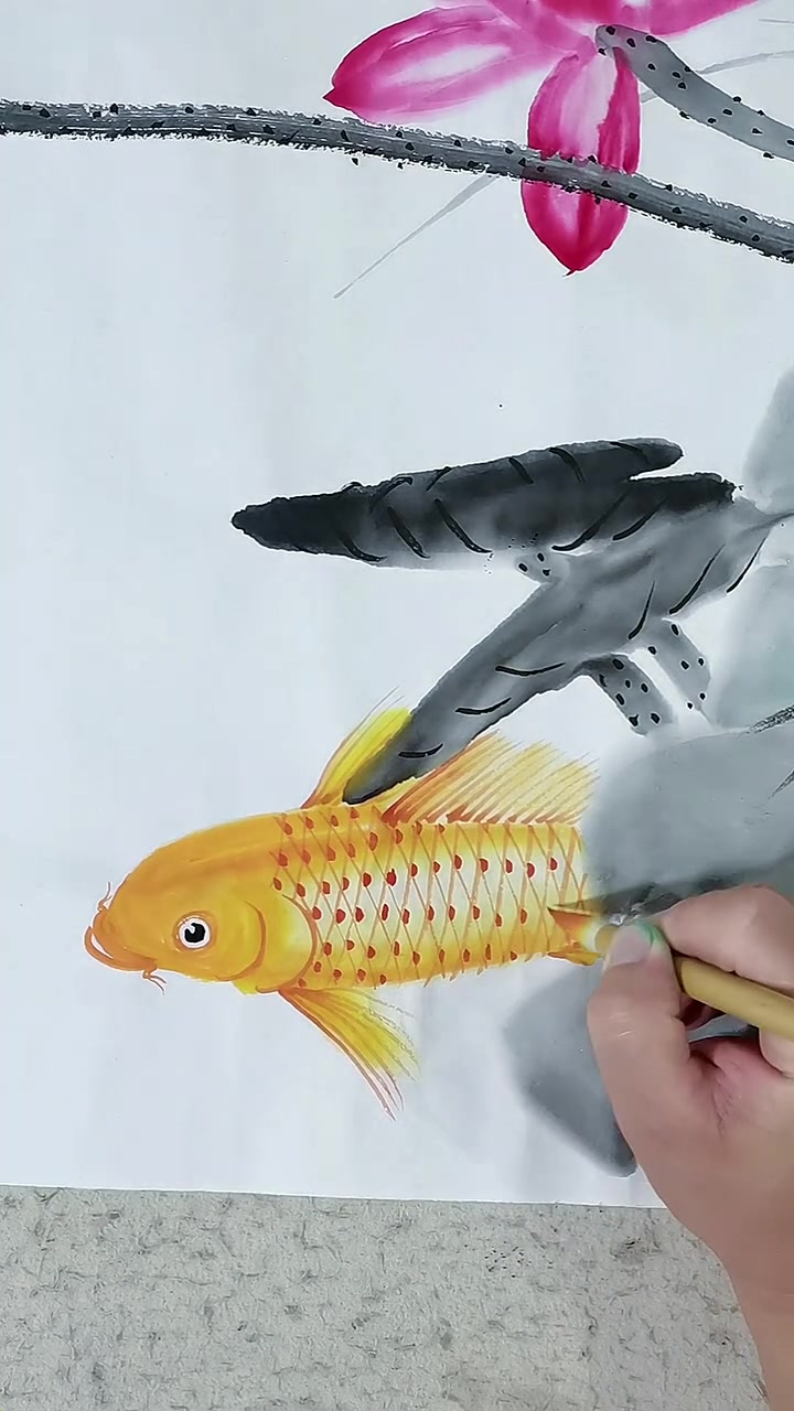 画鲤鱼