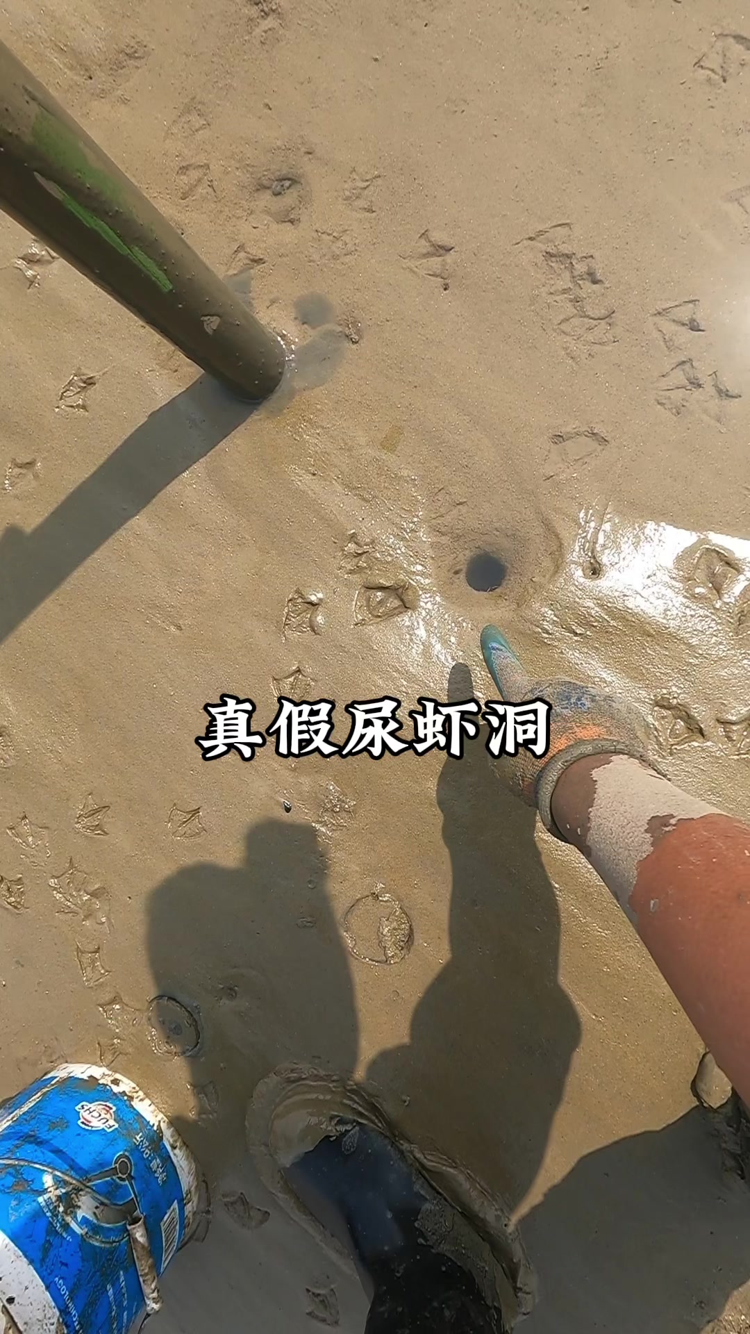 赶海人老王发现真假尿虾洞