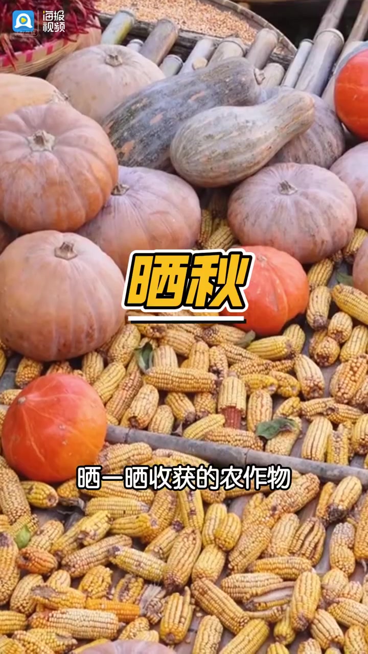 AI视频丨立秋·民俗