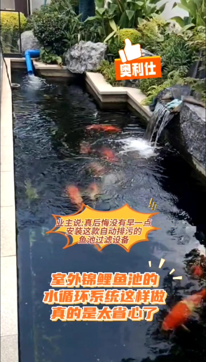 自从安装了这款鱼池过滤器,业主太省心了,是他养鱼的好帮手!