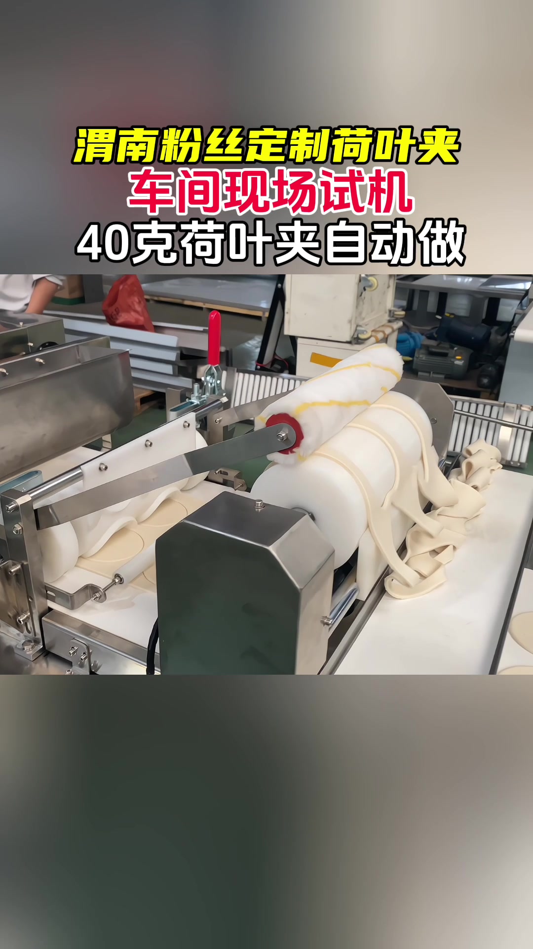 馒头机厂家车间试机,荷叶夹,烧饼,花样馒头都能做