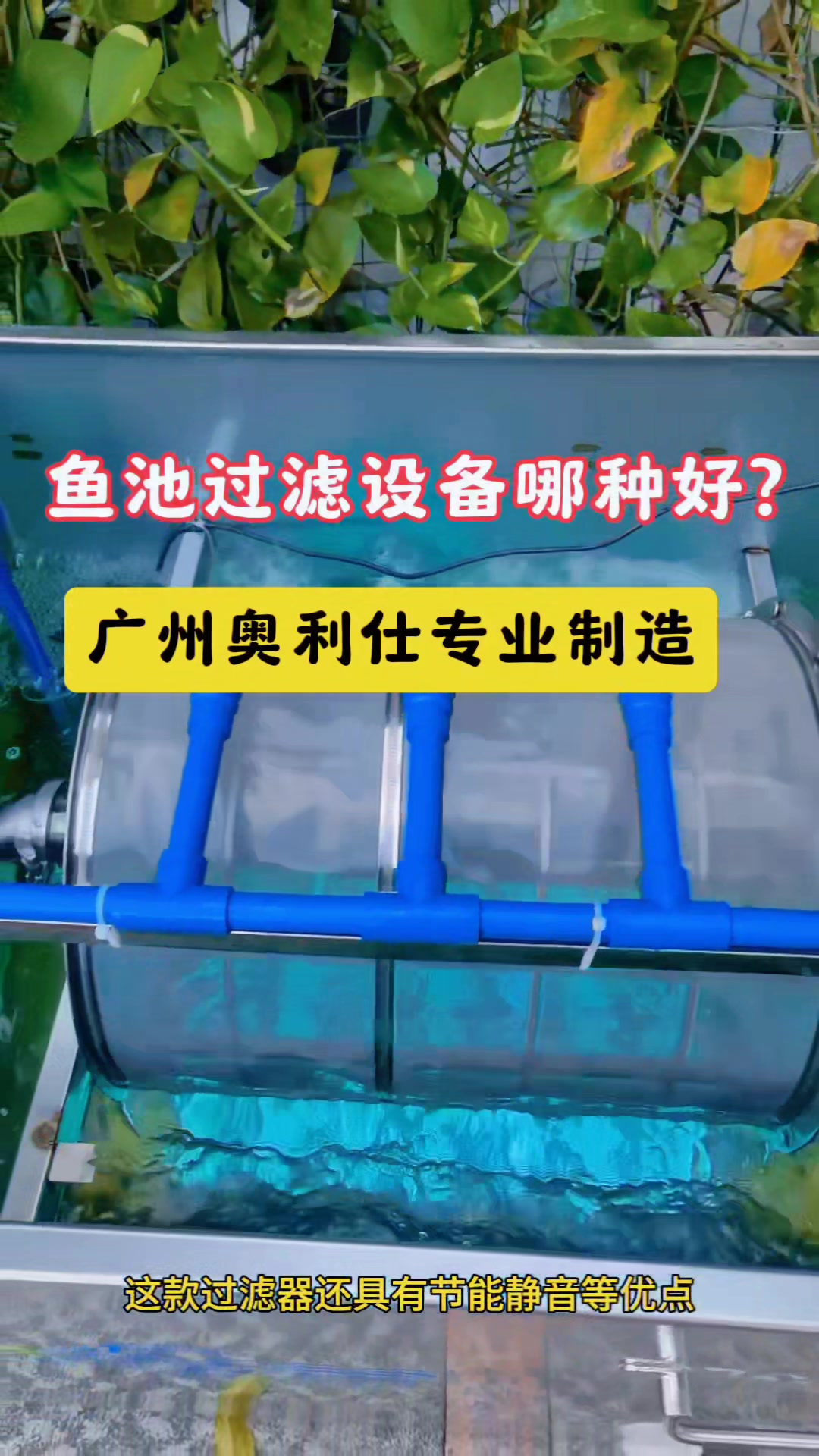养锦鲤鱼必备的一款神奇的产品——转鼓微滤机鱼池过滤器!