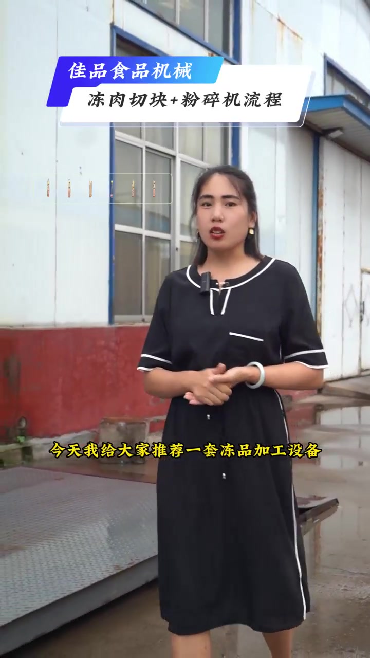 冻肉切块机 大块板肉油脂碎肉机生产商