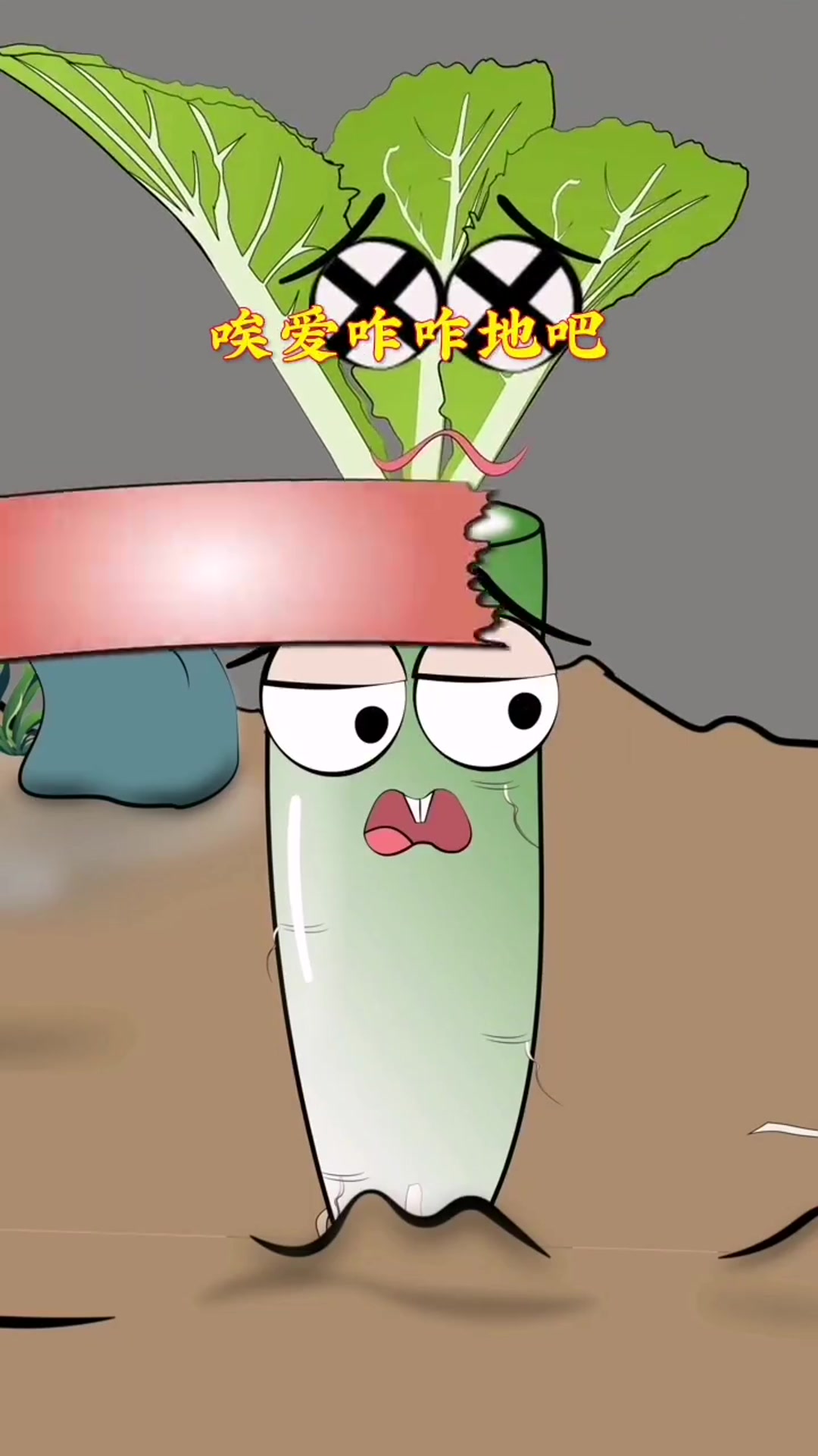 萝卜白菜都属于十字花科蔬菜,尽管外形不同,但还是可以进行嫁接的