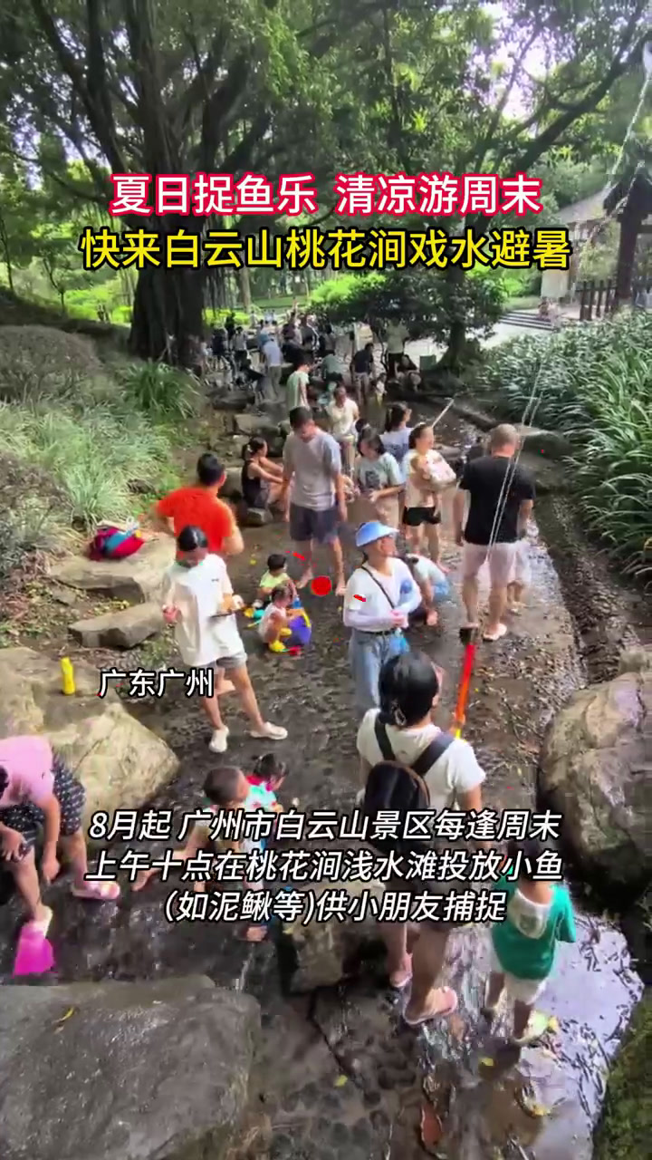 视频|小朋友,快来广州市白云山桃花涧戏水捉鱼啦