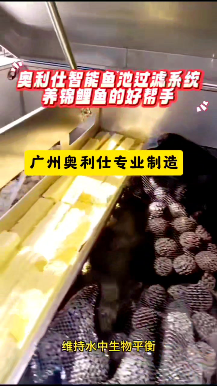 为什么锦鲤鱼池要做过滤系统?鱼池过滤设备哪个牌子好?