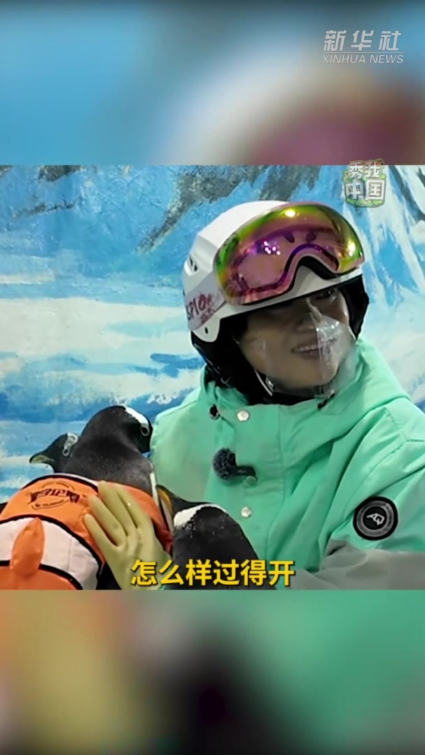 秀我中国|和企鹅做朋友是种什么体验