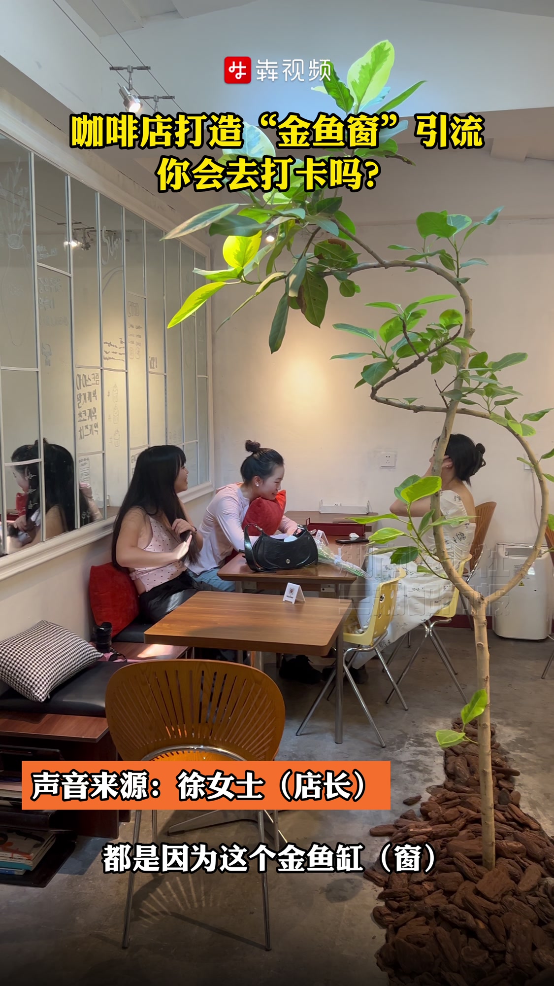 咖啡店打造“金鱼窗”引流,你会去打卡吗?