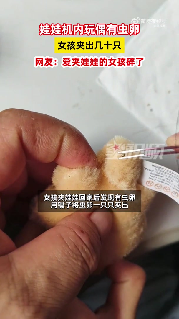 热闻|娃娃机抓出来的娃娃找出一堆虫卵,这些玩偶千万别这样处理!