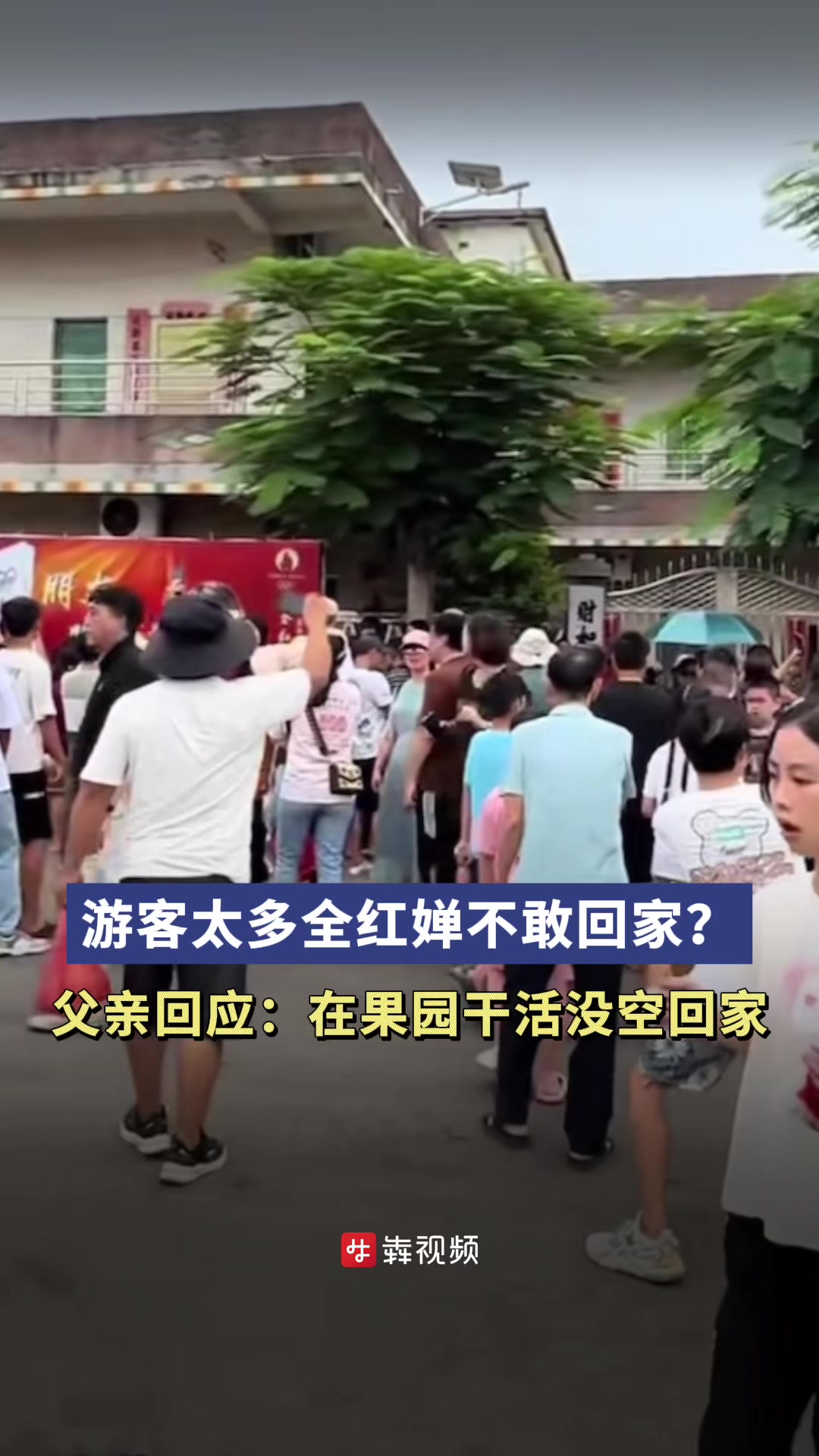 游客太多全红婵不敢回家?父亲回应:在果园干活没空回家