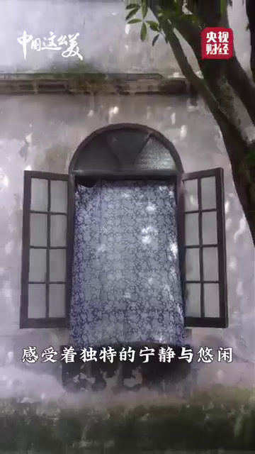 中国这么美丨古镇水乡,梦回嘉兴!一起体验江南水乡古韵风情→