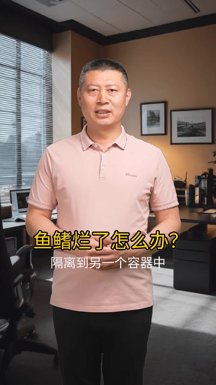 鱼鳍烂了怎么办?