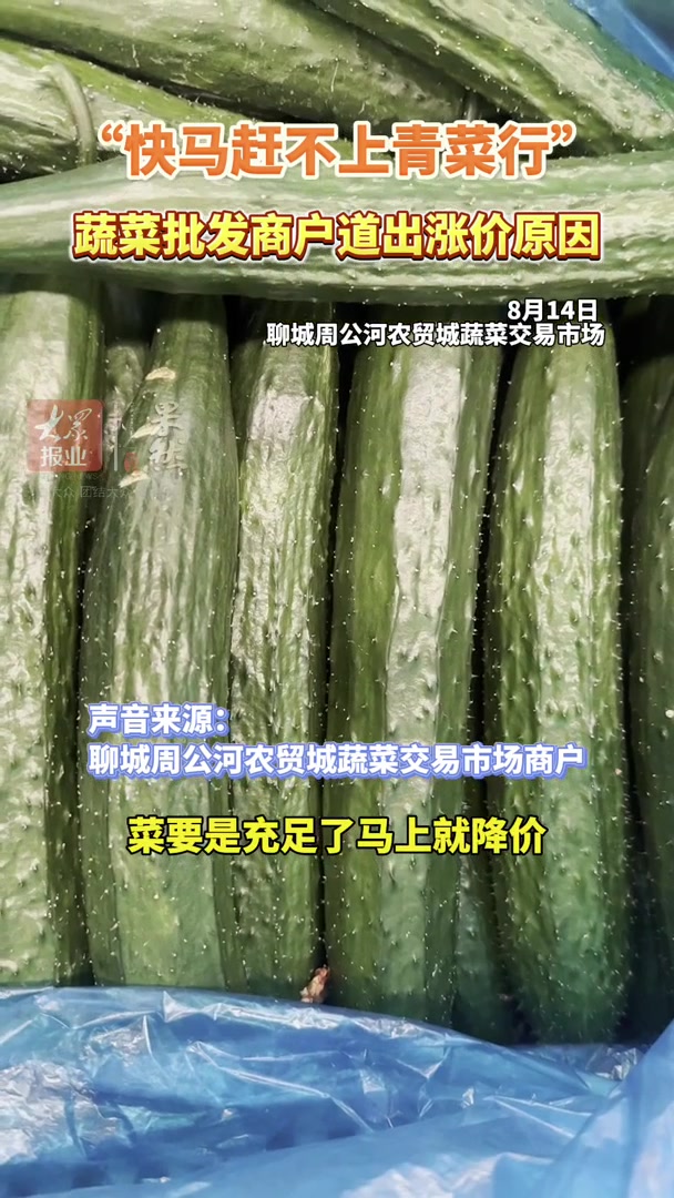 实地探访聊城蔬菜市场,解读豆角、黄瓜、茄子等蔬菜价格上涨原因