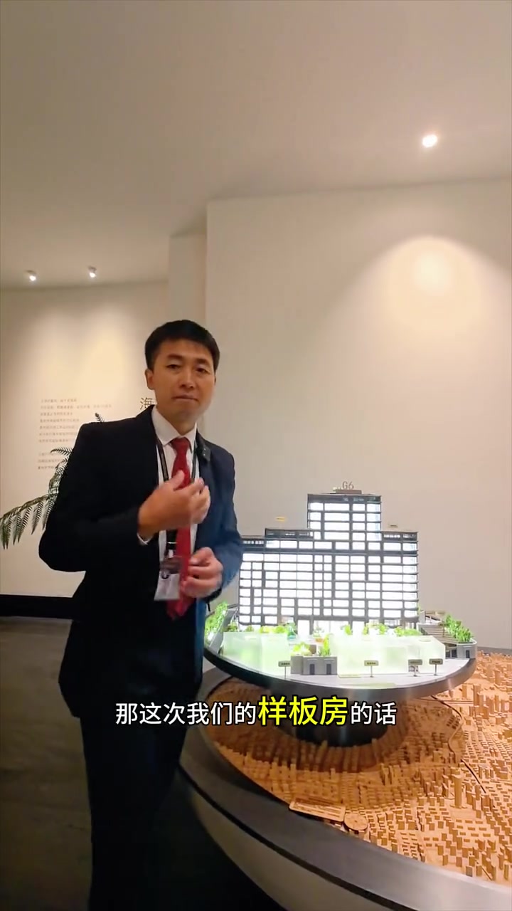 老城厢《锦园》海派现代风格新房,占地9.56万方,建筑面积43万方