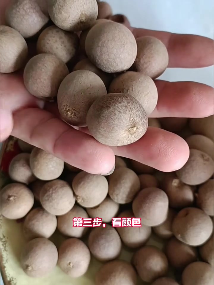 东北早市土豆哥揭秘:桂圆干怎么挑选?教你挑选营养健康的桂圆干!避免踩坑!福建桂圆干和泰国桂