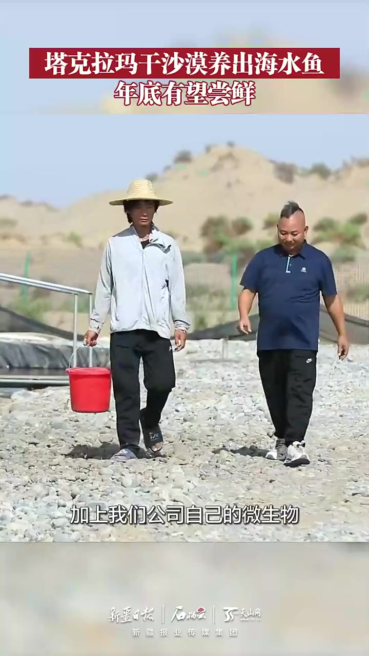 塔克拉玛干沙漠养出海水鱼 年底有望尝鲜