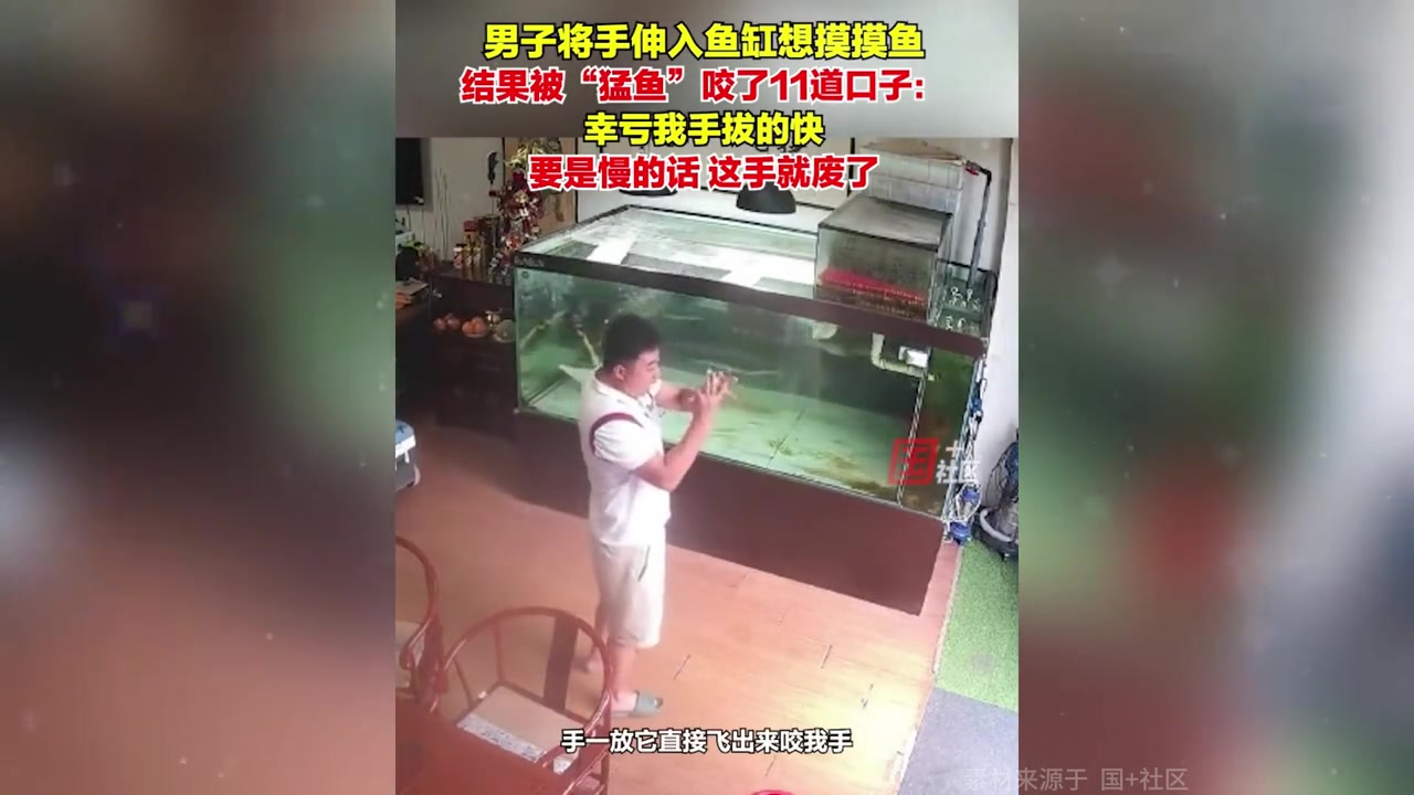 男子手伸入鱼缸想摸摸鱼,结果被“猛鱼”咬了11道口子:挺后怕的