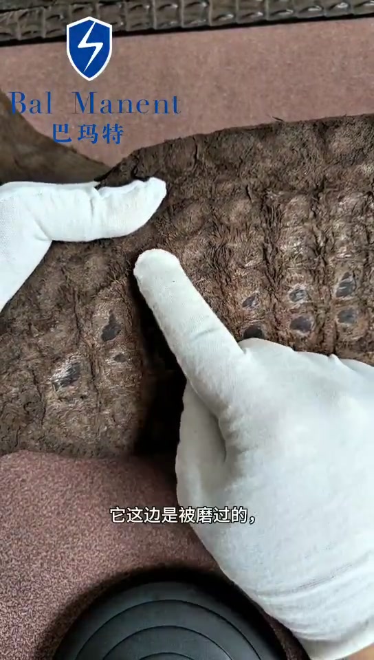 巴玛特鳄鱼皮腰带与鳄鱼皮展示