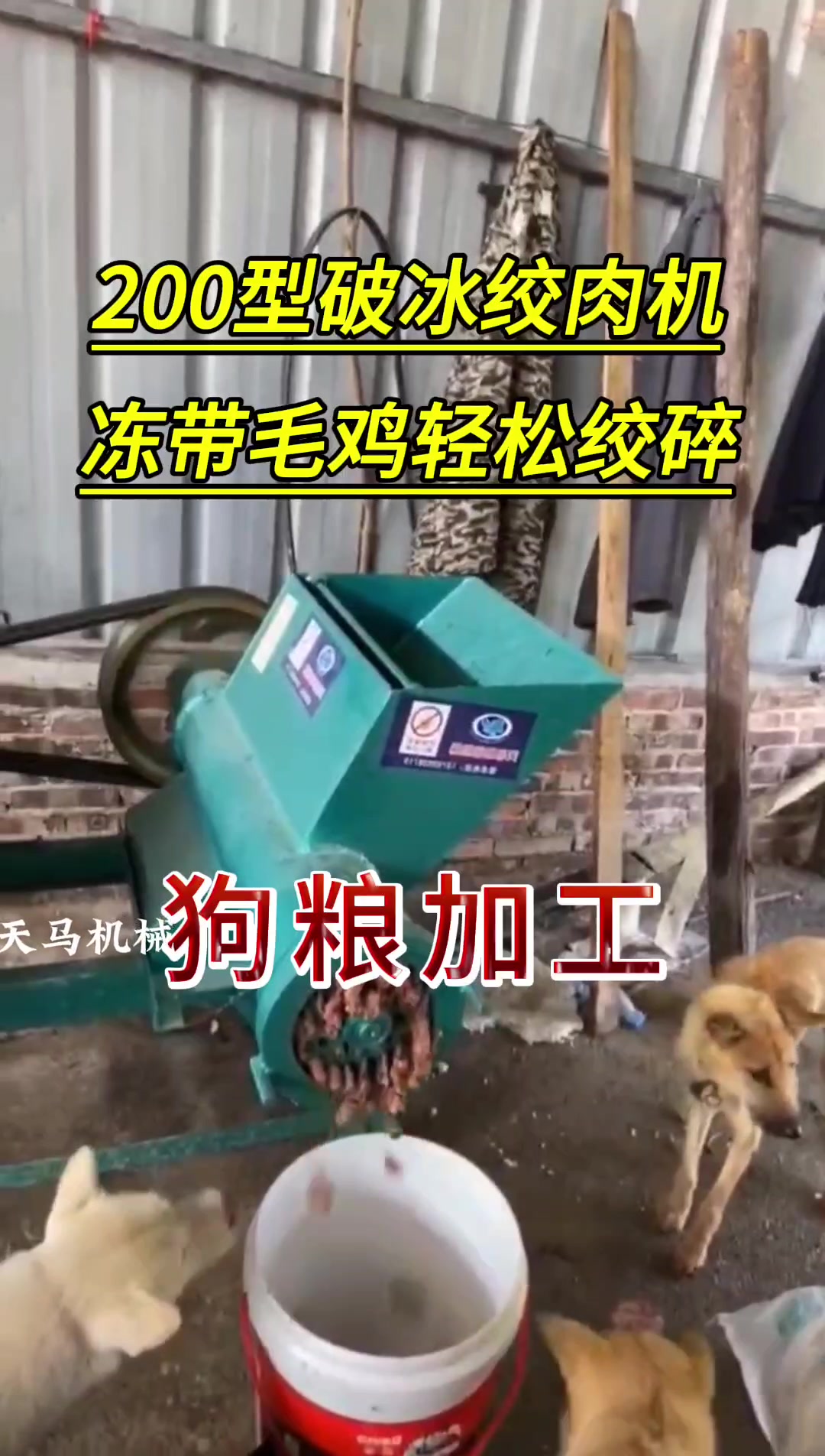 《客户使用视频》200型破冰绞肉机,冰冻带毛整鸡鸭轻松绞碎