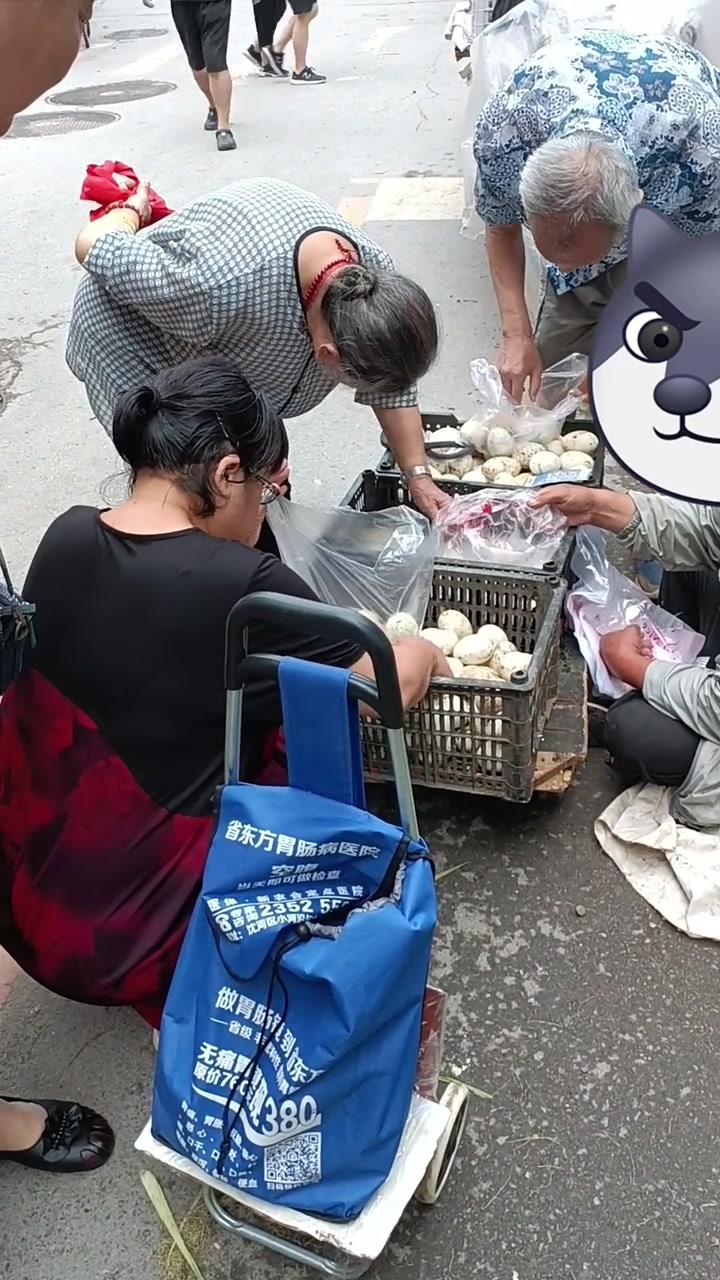 东北早市土豆哥揭秘:菜市场有哪些骗局?早市,菜市场防骗指南!照蛋和正常鹅蛋的区别!菜谱大全