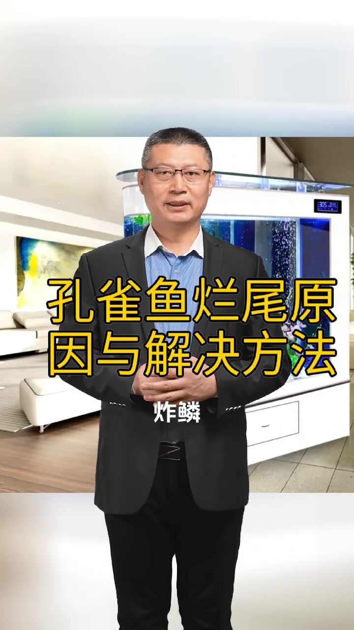 孔雀鱼烂尾原因与解决方法
