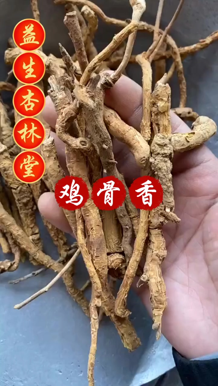 鸡骨香的用途和选择,欢迎家人们了解