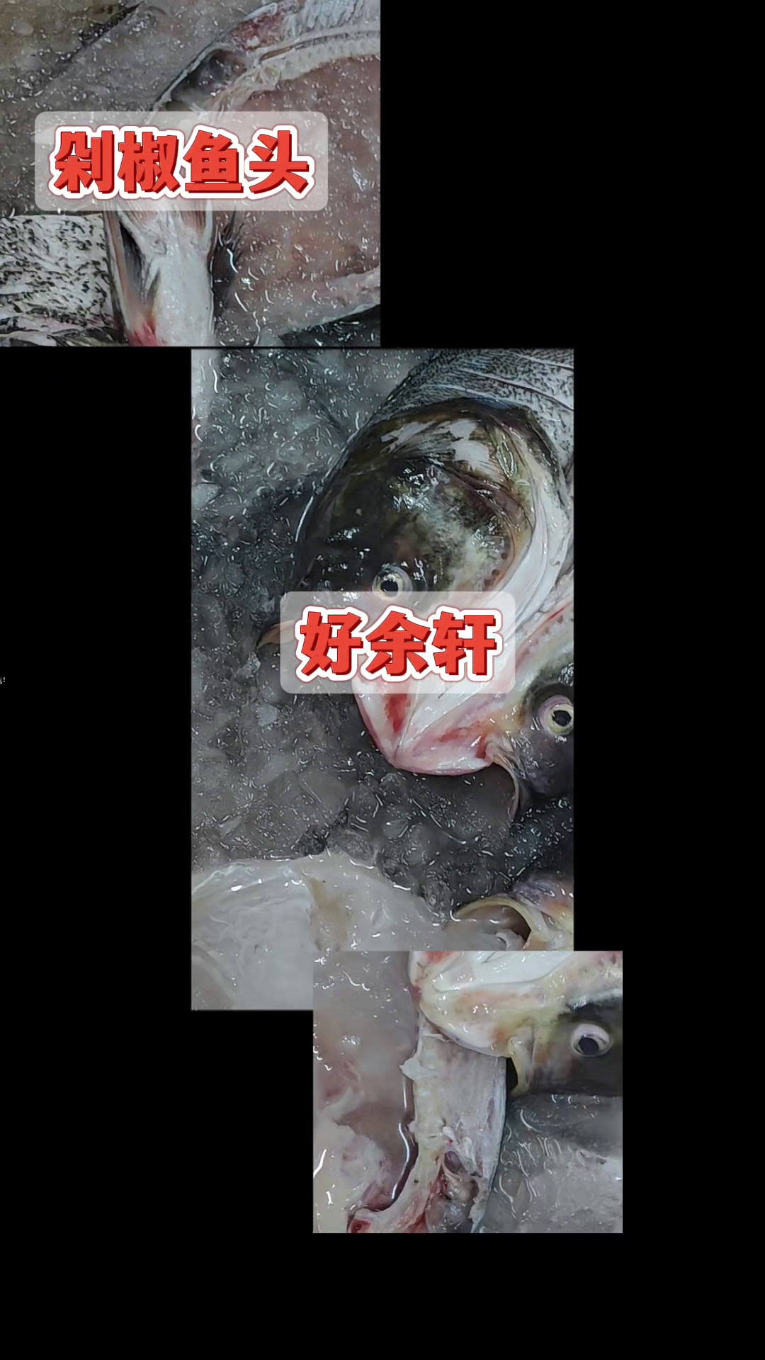 好余轩鱼头工厂实拍