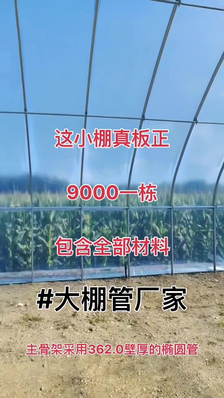 农业蔬菜种植大棚