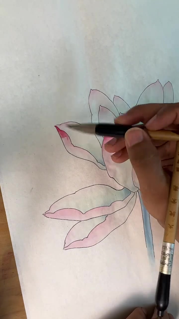 工笔荷花5