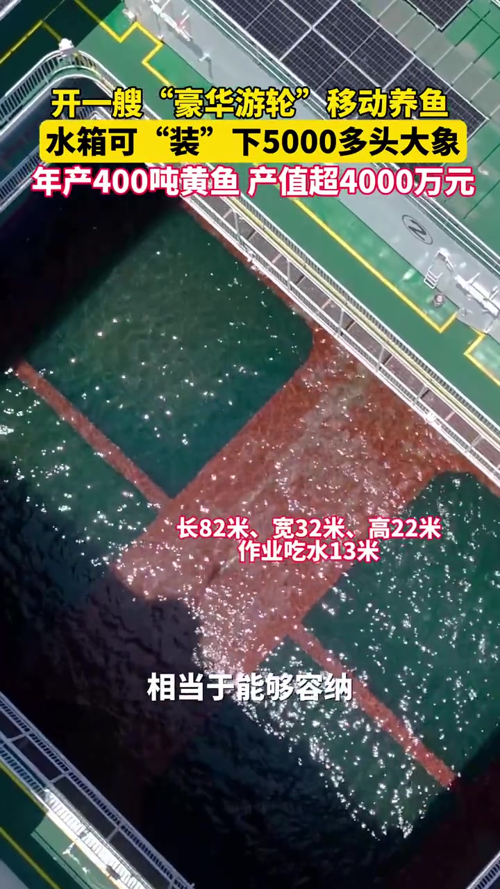 近日,宁波象山渔山列岛旁海域,开一艘“豪华游轮”移动养鱼,水箱可“装”下5000多头大象,