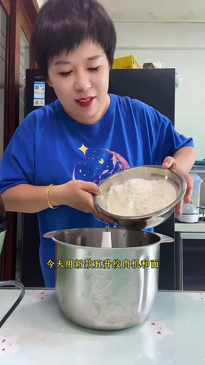 五升大容量绞肉机 一机多用 绞肉馅 绞菜馅 又快又方便