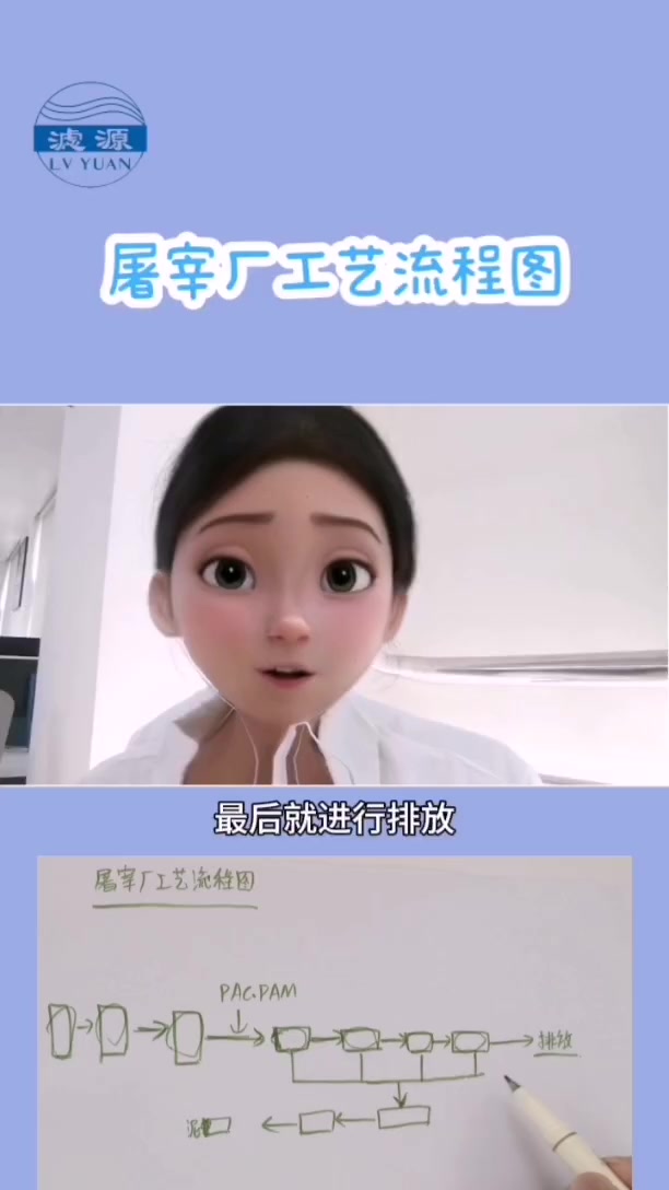 屠宰厂污水处理流程