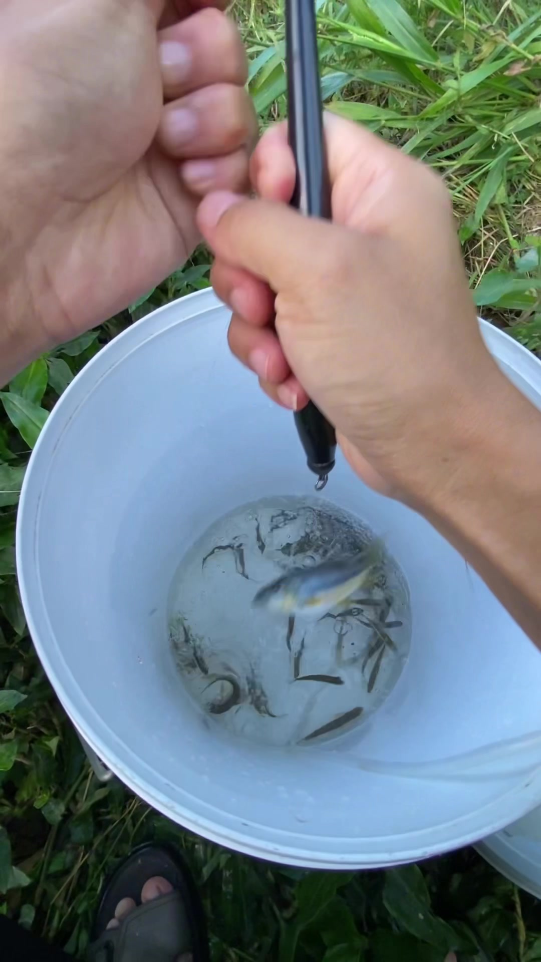 这条石斑鱼可以,目前为止今年钓到最大的一条