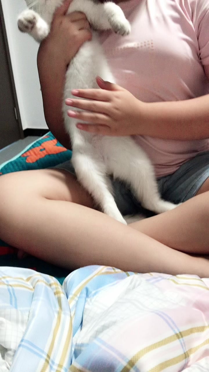 小猫饭团的首次亮相