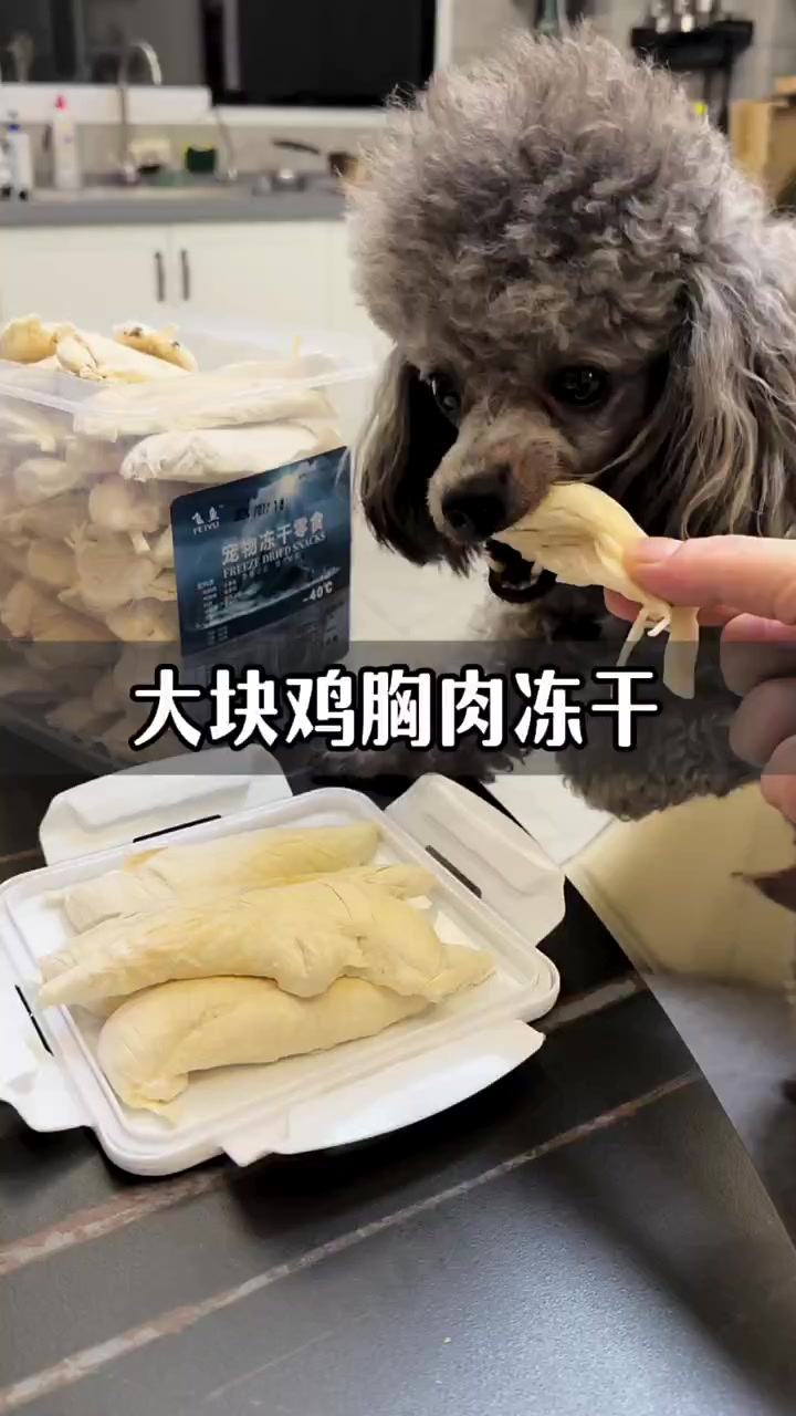 猫狗大块鸡胸肉冻干它来了!这一大桶鸡胸肉冻干足足有500克 每一块都是完整的鸡胸肉而不是边