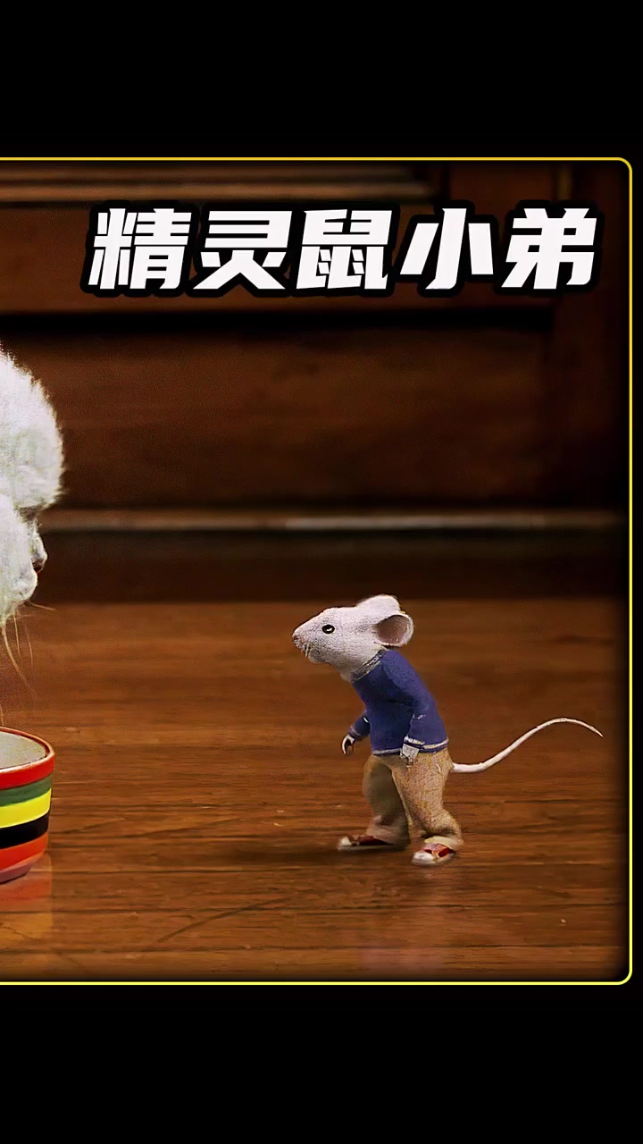 现实版猫和老鼠,杰瑞竟还成了汤姆猫的小主人