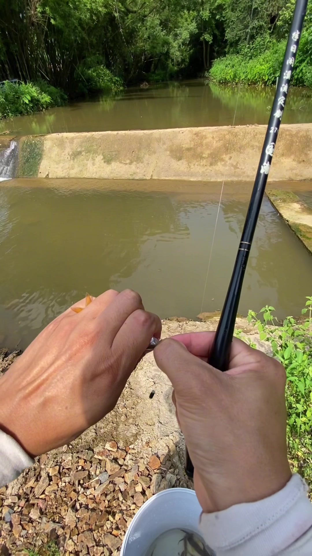 网友说水坝下有大石斑鱼,果然是真的