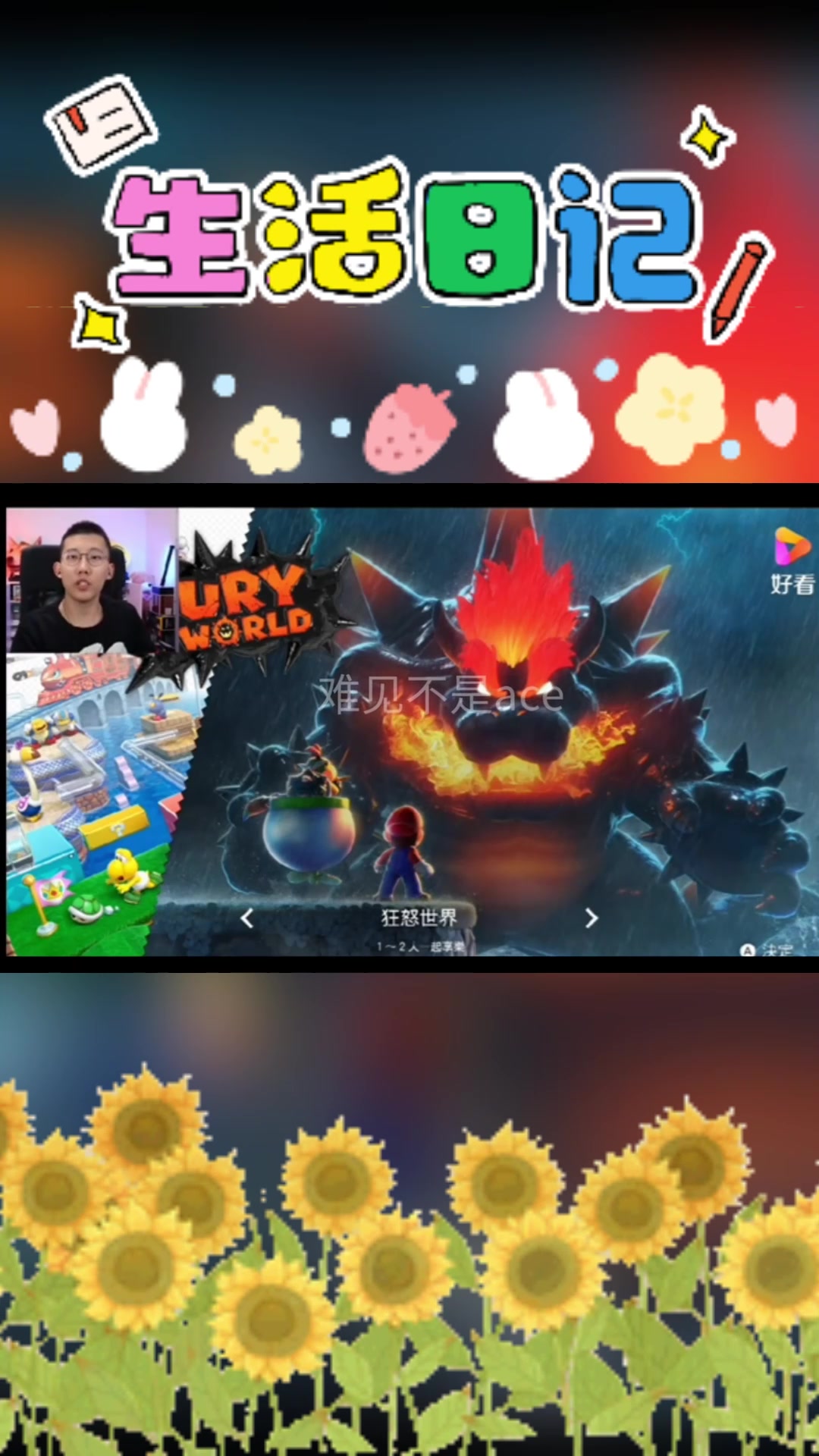 快速了解鲤鱼ace的初步印象(未完成版)