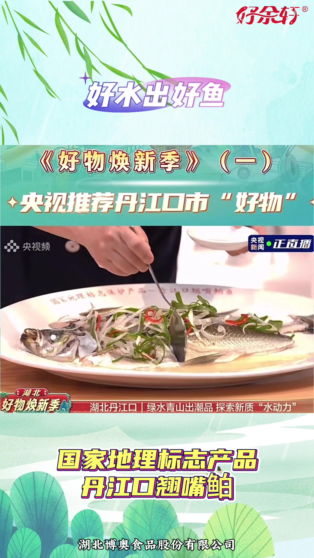 央视推荐丹江口好物 翘嘴鲌