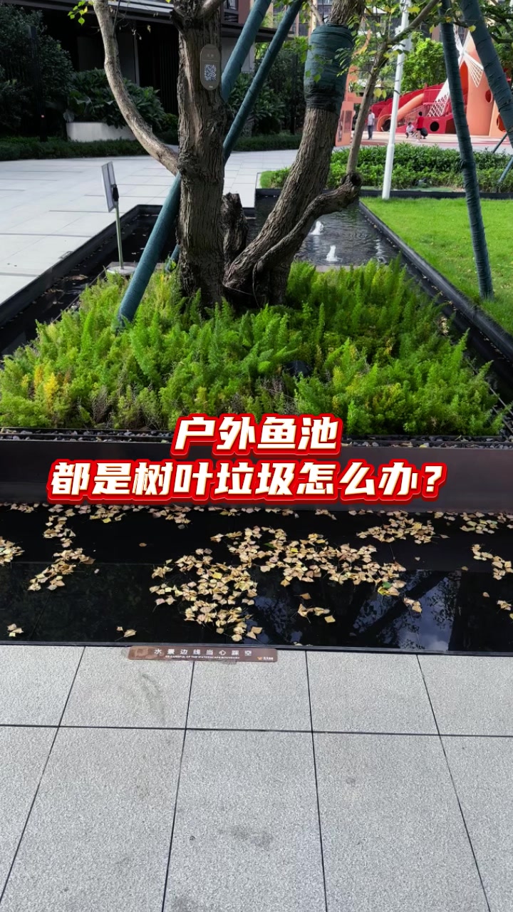 户外鱼池都是树叶垃圾怎么办?鱼池捞网 庭院鱼池 别墅鱼池