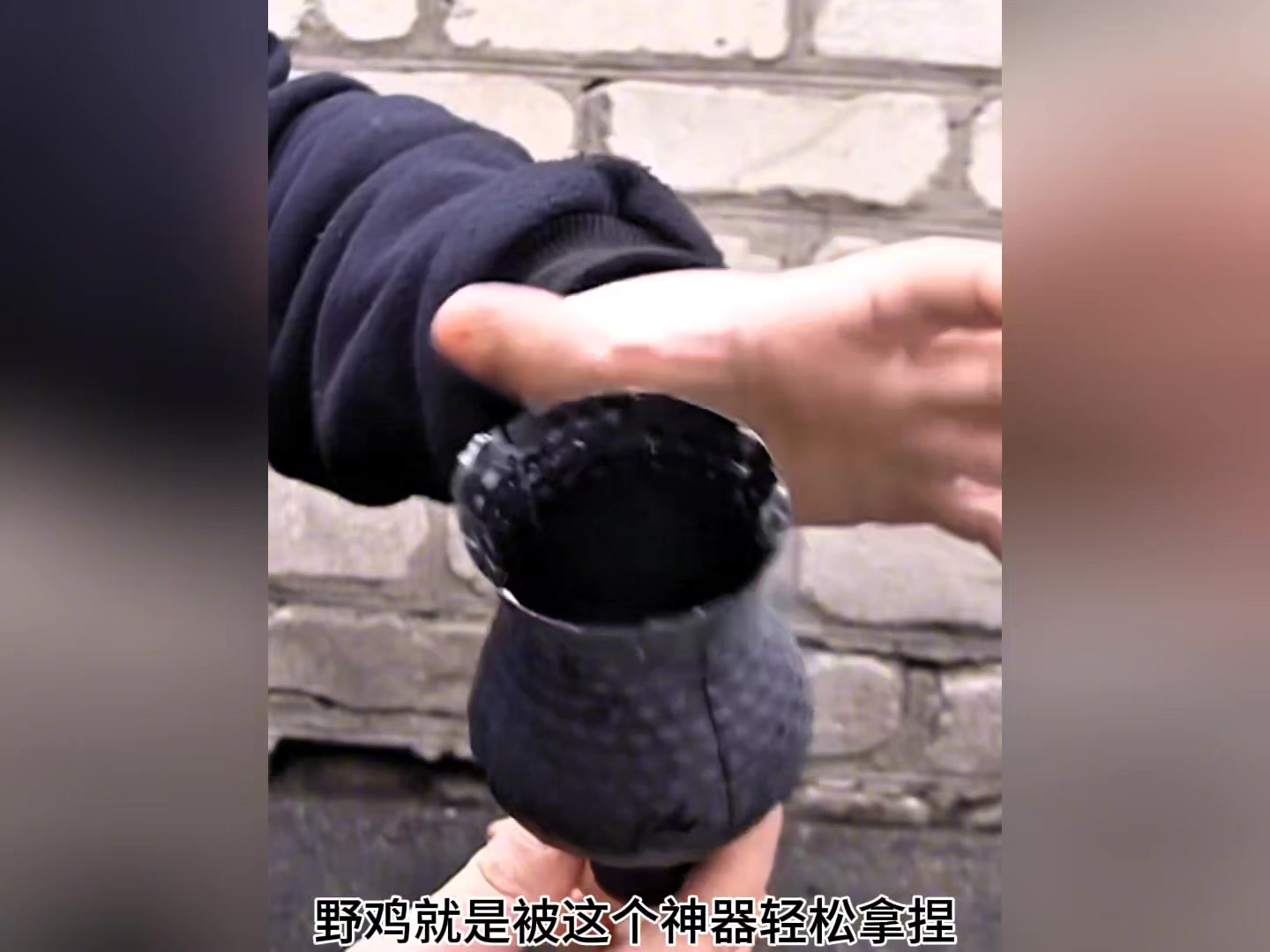 国外合法狩猎野鸡