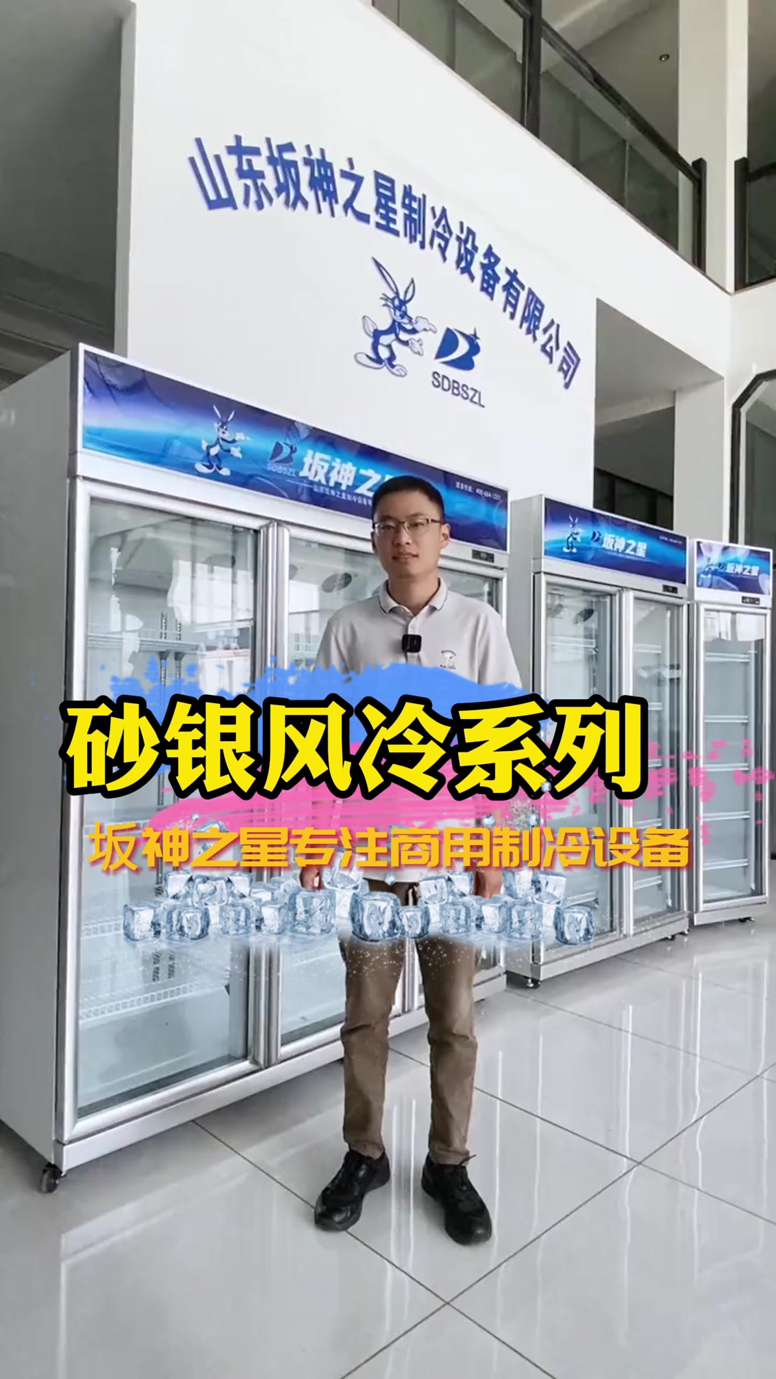 砂银风冷系列展示柜 制冷效果更好