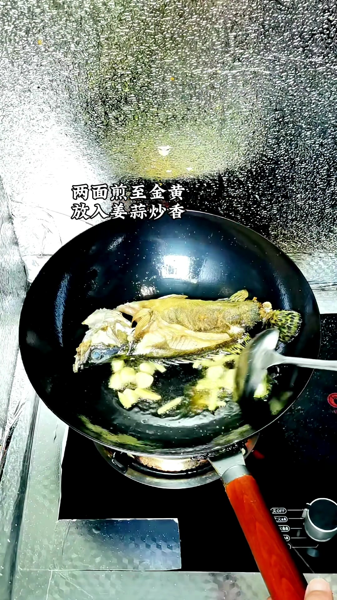 《家常菜一顿不超10元》红烧桂鱼