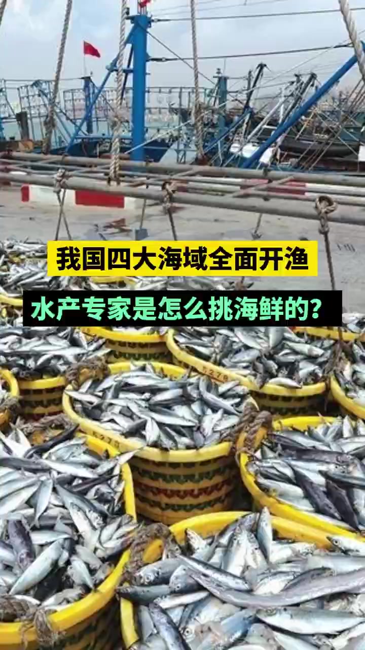 9月1日12时,北纬35度以北的渤海、黄海海域休渔期结束,5万多艘渔船竞相出海,我国四大海